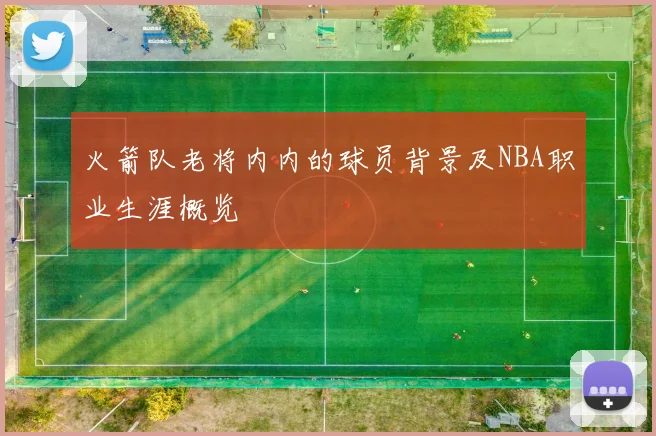 火箭队老将内内的球员背景及NBA职业生涯概览