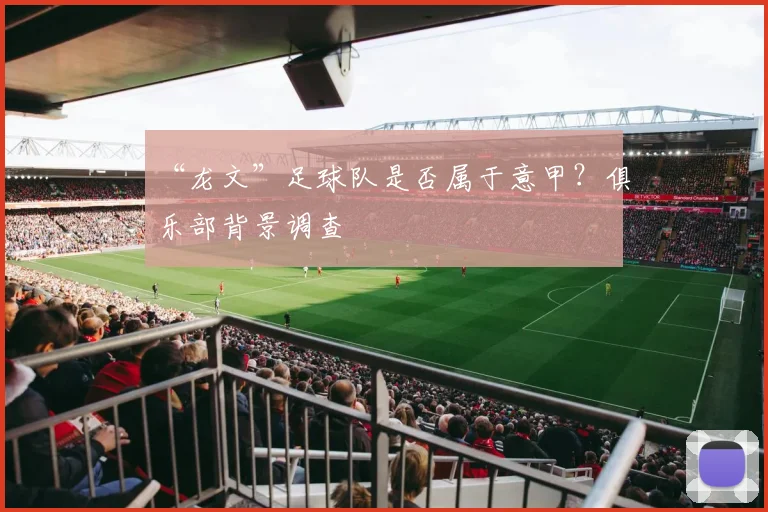 “龙文”足球队是否属于意甲？俱乐部背景调查